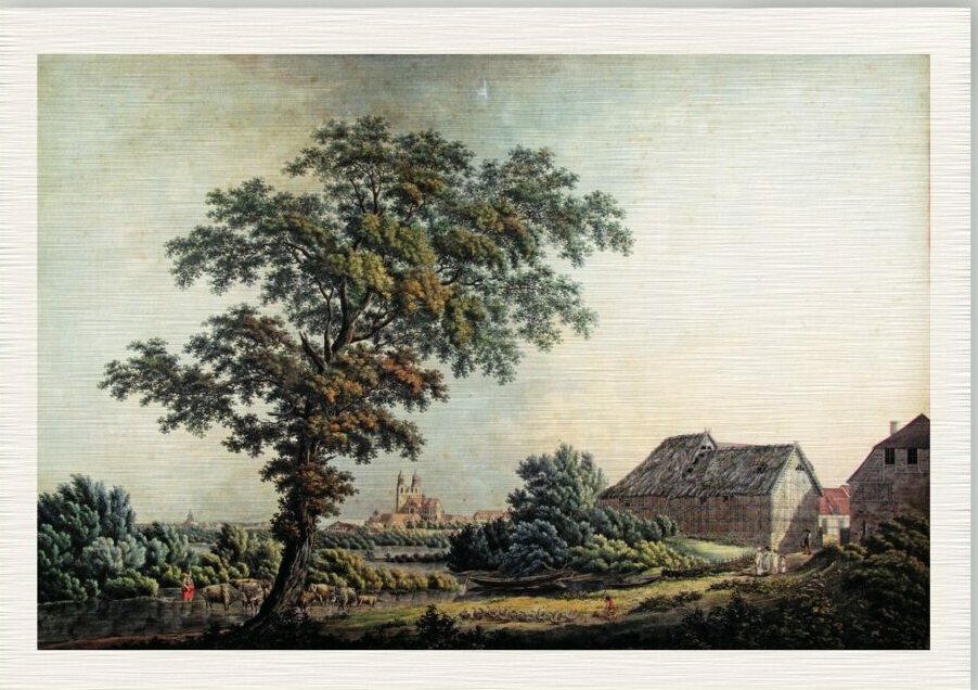 Kolorierte Radierung: Aussicht vom Amt Crakau auf Magdeburg mit großem Baum im Vordergrund